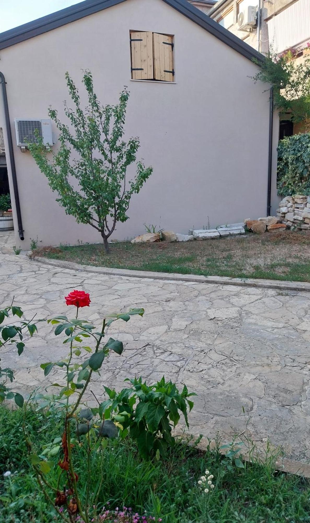 Apartment Conclavia Zadar